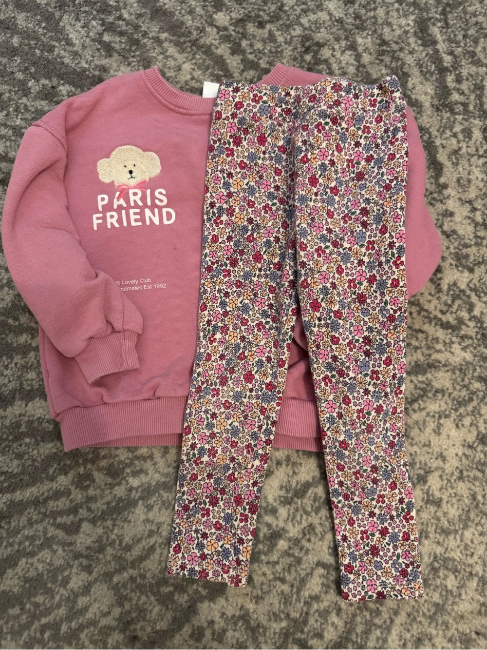 Zara Pink Floral Sweatshirt and Leggings Set